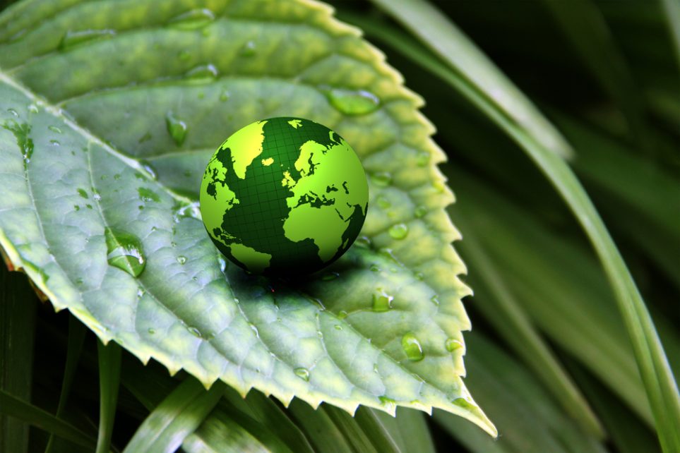 Image of a small earth ball on a leaf